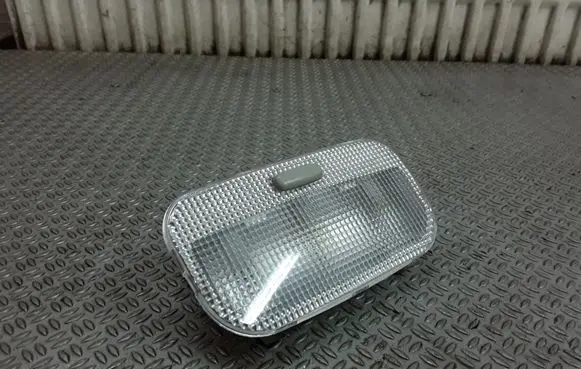 Peugeot 407 Rear seat light