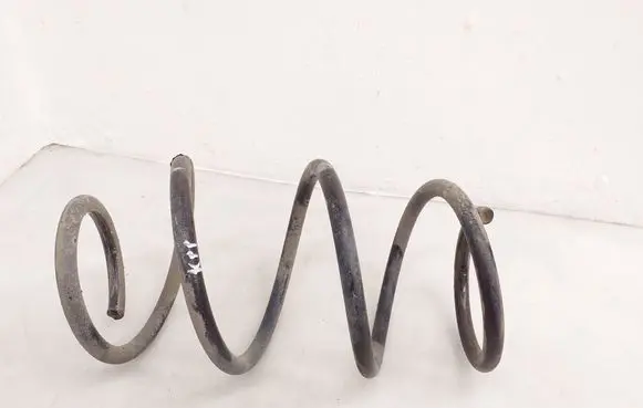 Honda Civic X Front coil spring 22310235