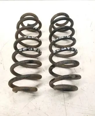 Volkswagen PASSAT B7 Rear coil spring