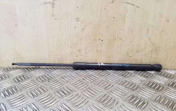 Opel Zafira C Front bonnet/hood damper/strut 13349904 315005777