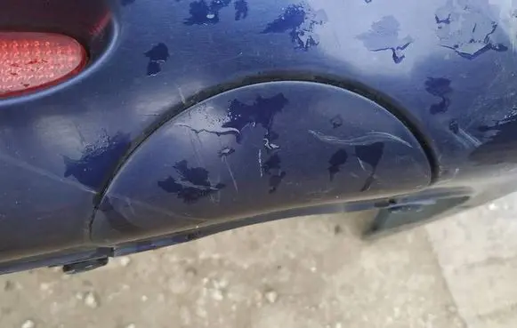 Honda Accord Rear bumper row hook cap/cover 