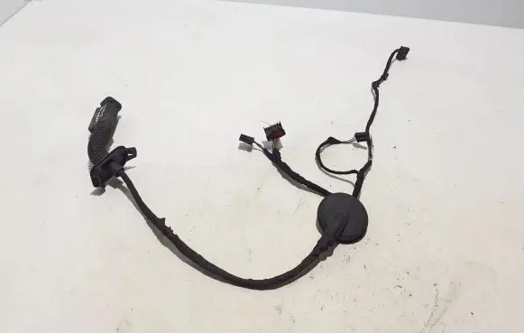 Cupra Formentor Other wiring loom 5FA971161F