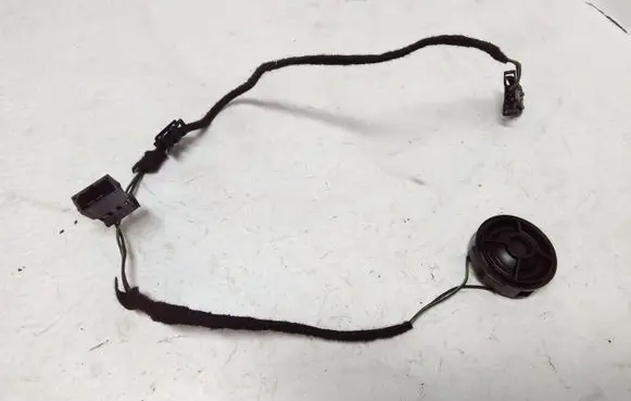 Front door high frequency speaker