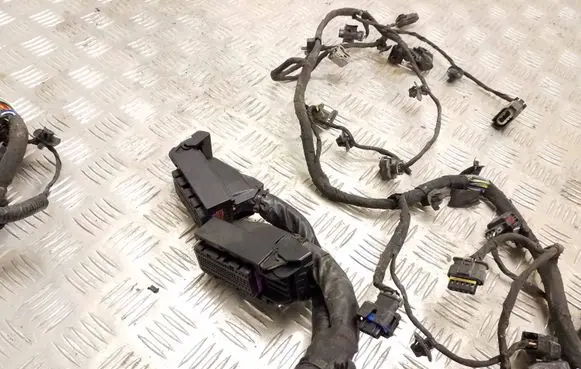 KIA Carens III Engine installation wiring loom 91450EA07 A4070 150512