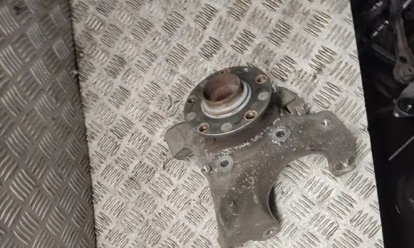 Volkswagen Golf IV Rear wheel hub spindle/knuckle 