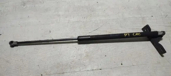 Citroen C4 Cactus Tailgate/trunk strut/damper 9813913880