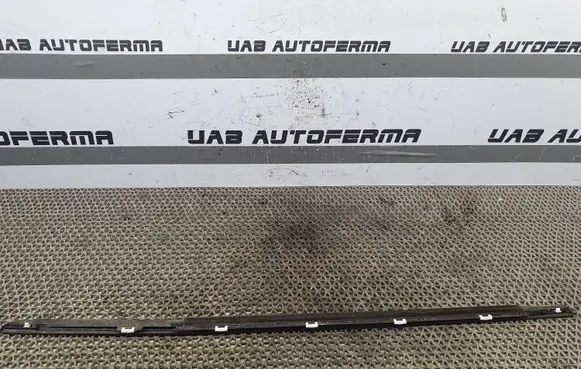 KIA Rio Rear door glass trim molding