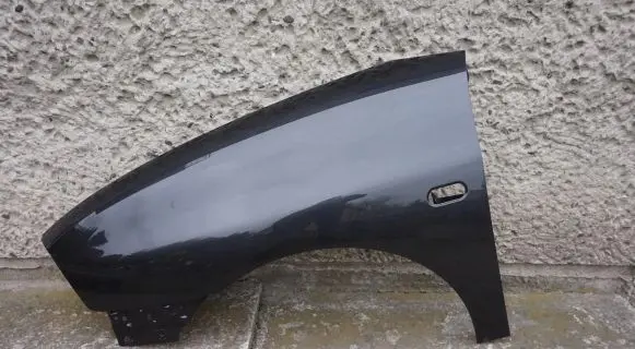 Seat Ibiza III (6L) Fender