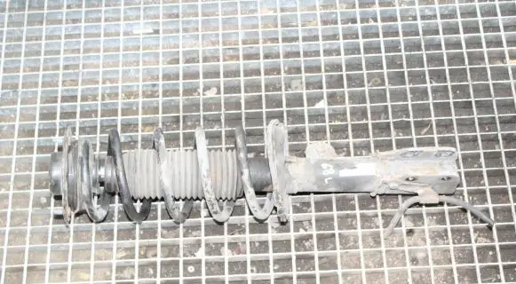 Opel Antara Front shock absorber/damper