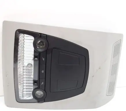 BMW X3 F25 Front seat light 9245233