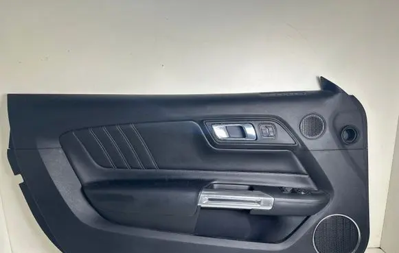 Ford Mustang VI Front door card panel trim FR3B6323943HE