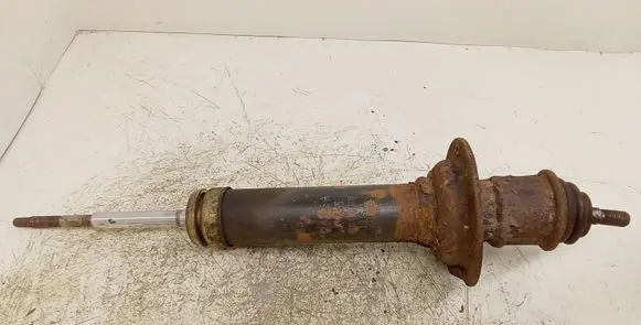 Mercedes-Benz ML W163 Rear shock absorber/damper AE01005