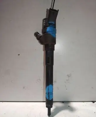 Hyundai Santa Fe Fuel injector 0445110254