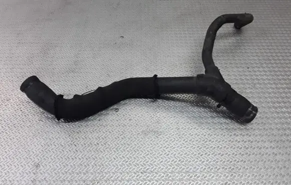 Renault Scenic I Engine coolant pipe/hose
