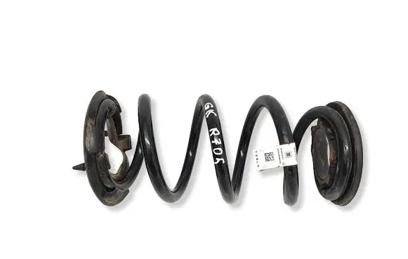 Tesla Model 3 Rear coil spring 104447201E CZH223030022180
