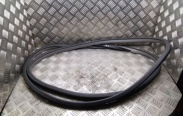 Nissan Leaf I (ZE0) Front door rubber seal