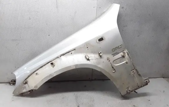 Hyundai Terracan Fender