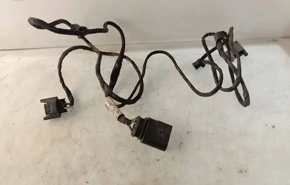 Other wiring loom