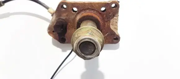 Renault Scenic I Stub axle 
