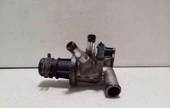 Thermostat/thermostat housing