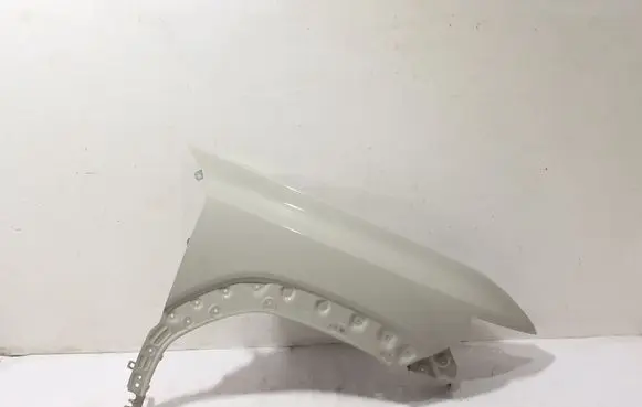 Dacia Duster Fender 631124149R