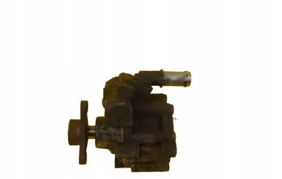 Renault Trafic II (X83) Power steering pump 491101050R 19SP21
