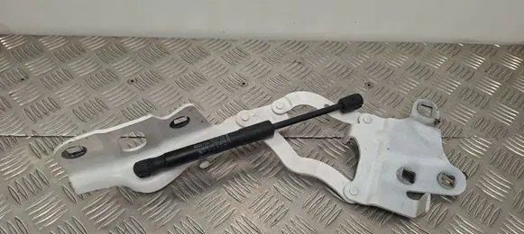 Alfa Romeo Stelvio Engine bonnet/hood hinges 00505354500