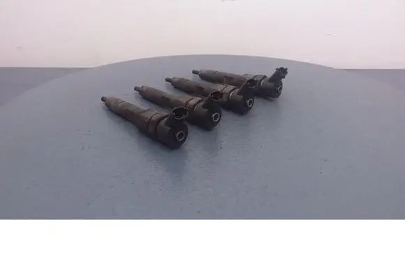 Renault Scenic I Fuel injector 0445110021