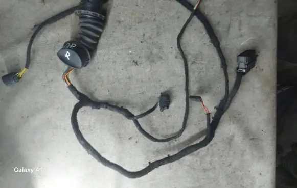 Front door wiring loom