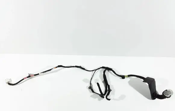 Rear door wiring loom