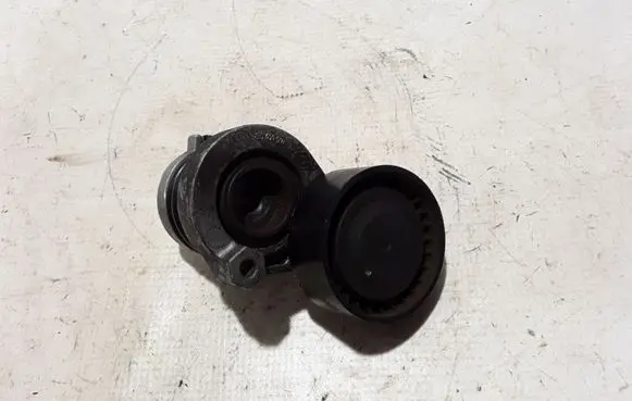 Renault Captur II Timing belt/chain tensioner 117504048R