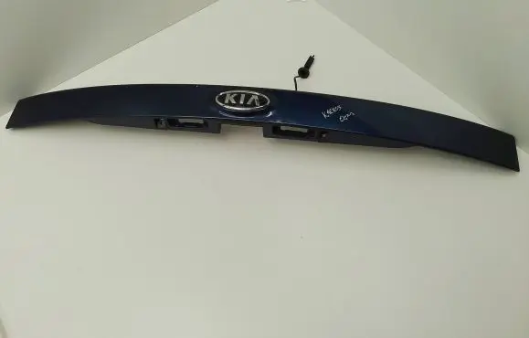 Trunk door license plate light bar