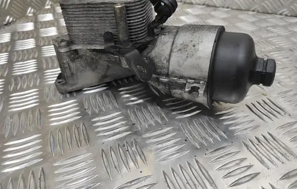 Peugeot 307 Oil filter cover 312765