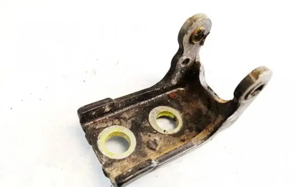 Citroen C5 Rear door lower hinge