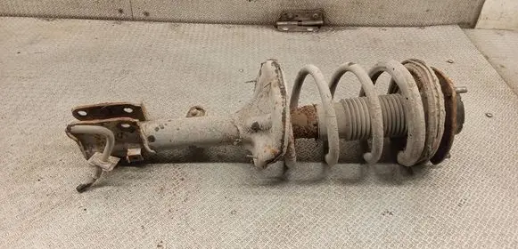 Hyundai Tucson JM Front shock absorber with coil spring 