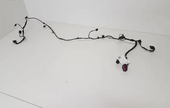 Volkswagen PASSAT CC Parking sensor (PDC) wiring loom 3C8971095AJ