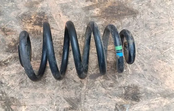 Rear coil spring