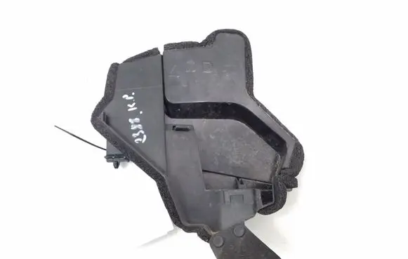 Engine bonnet/hood lock trim molding