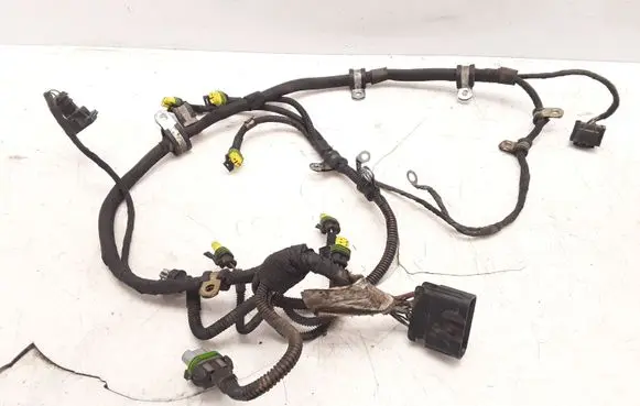 Maserati Quattroporte Gearbox/transmission wiring loom 
