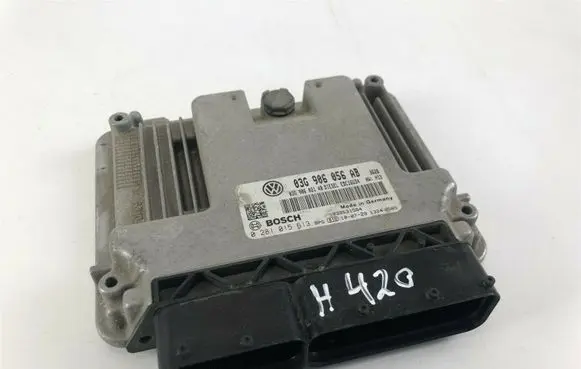 Volkswagen Caddy Other control units/modules 0281015613 H420