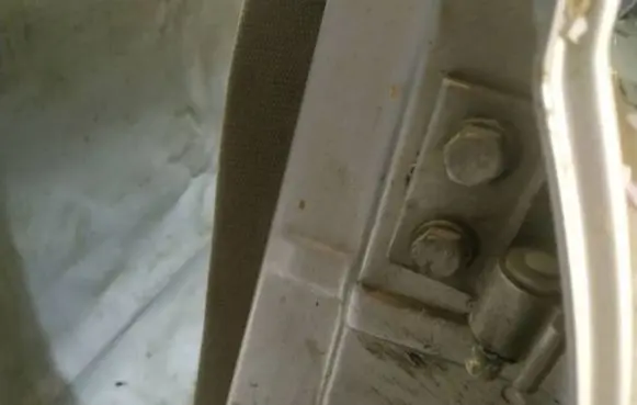Peugeot 406 Rear door lower hinge