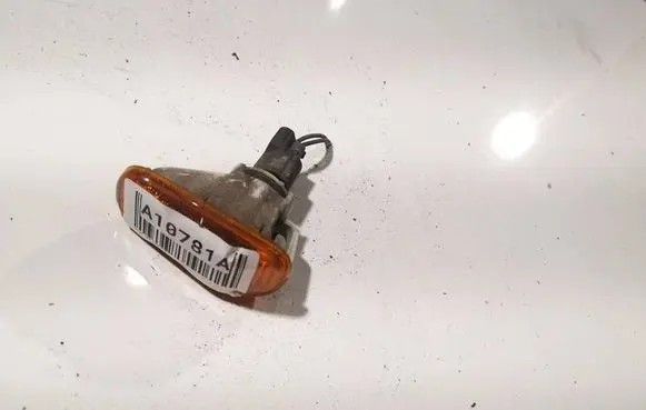 Front fender indicator light