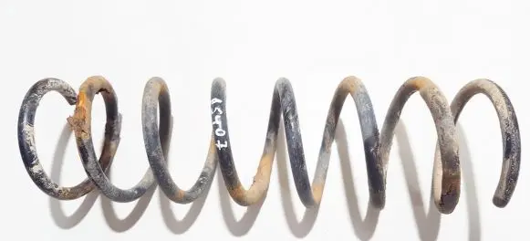 Ford Focus Rear coil spring
