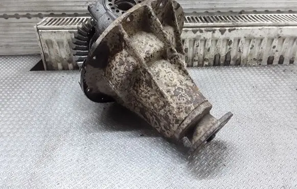 Mitsubishi Pajero Rear differential