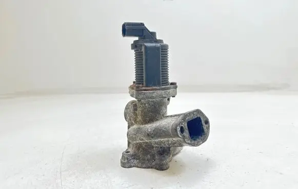 Fiat Punto (188) EGR valve