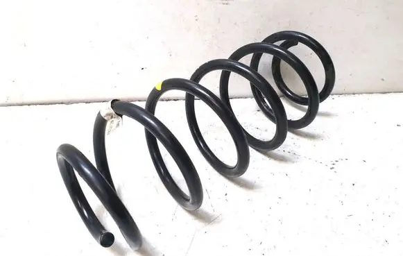 Rear coil spring