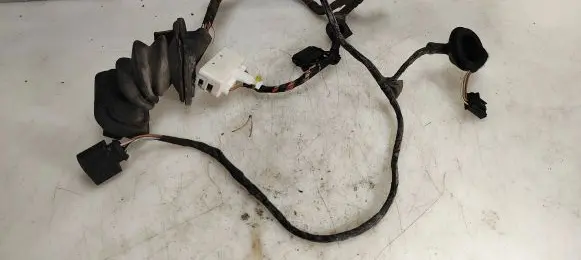 Rear door wiring loom