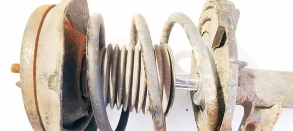 Mercedes-Benz C W203 Front coil spring