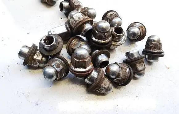 Nuts/bolts