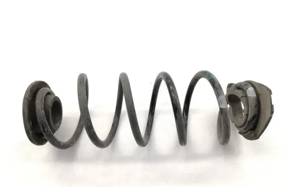 Rear coil spring